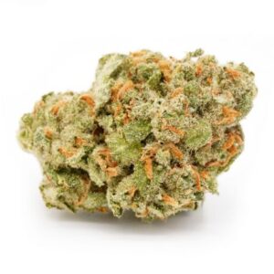 Sativa
