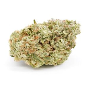 Indica